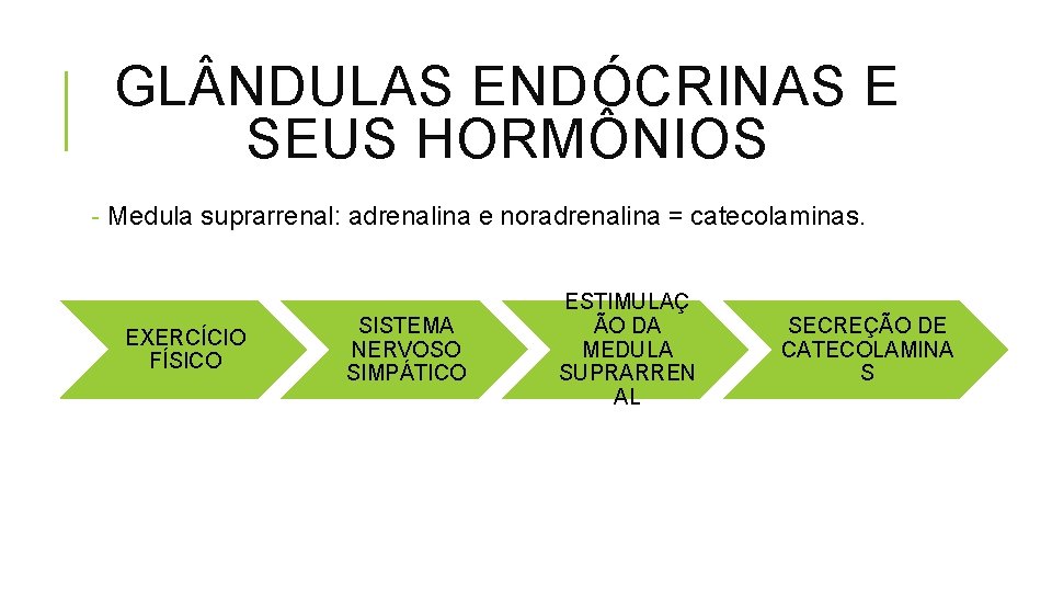 GL NDULAS ENDÓCRINAS E SEUS HORMÔNIOS - Medula suprarrenal: adrenalina e noradrenalina = catecolaminas.