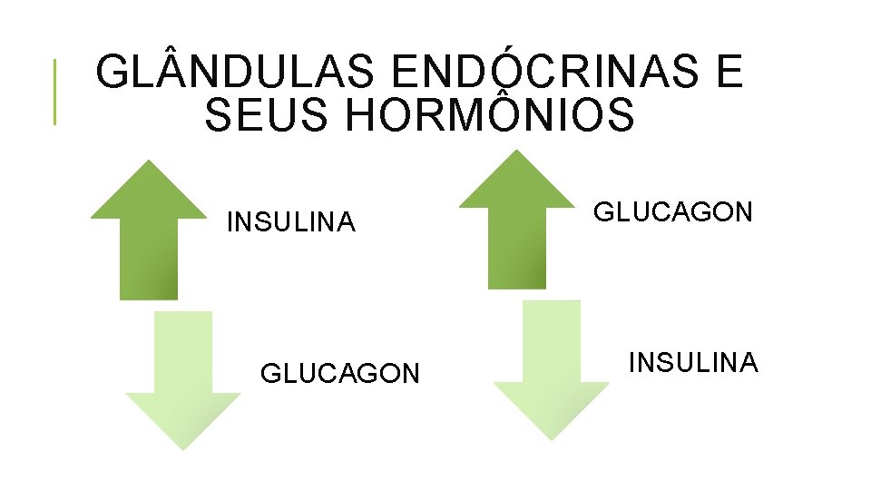 GL NDULAS ENDÓCRINAS E SEUS HORMÔNIOS INSULINA GLUCAGON INSULINA 