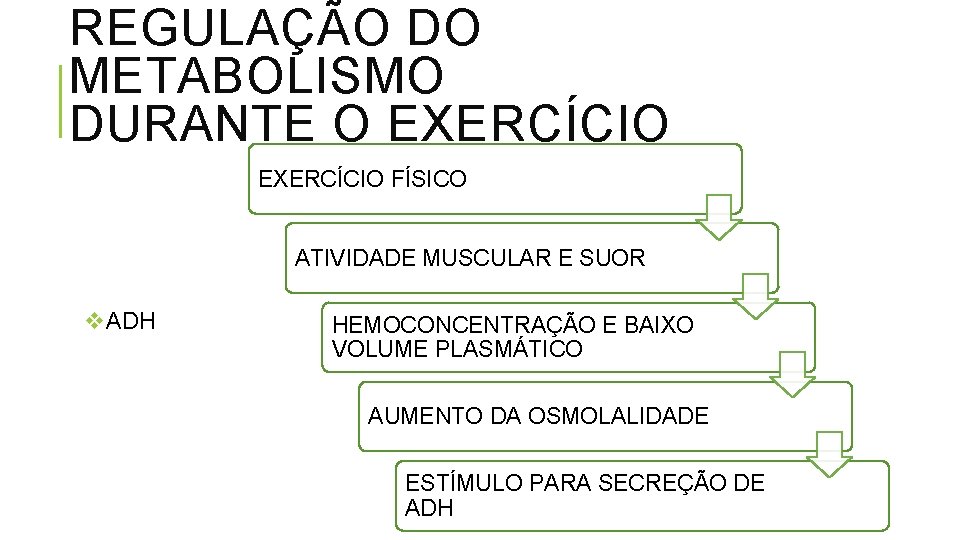 REGULAÇÃO DO METABOLISMO DURANTE O EXERCÍCIO FÍSICO ATIVIDADE MUSCULAR E SUOR v. ADH HEMOCONCENTRAÇÃO