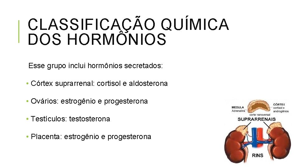 CLASSIFICAÇÃO QUÍMICA DOS HORMÔNIOS Esse grupo inclui hormônios secretados: • Córtex suprarrenal: cortisol e