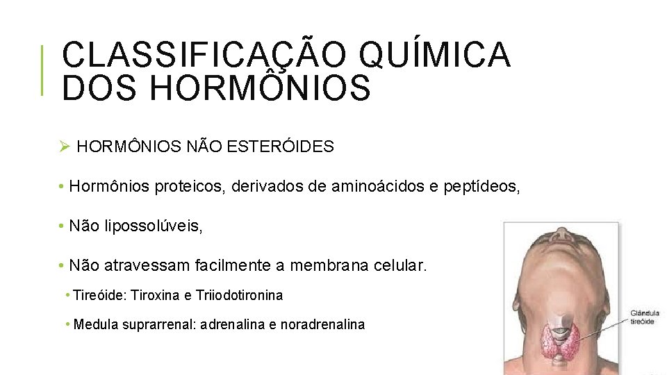 CLASSIFICAÇÃO QUÍMICA DOS HORMÔNIOS Ø HORMÔNIOS NÃO ESTERÓIDES • Hormônios proteicos, derivados de aminoácidos