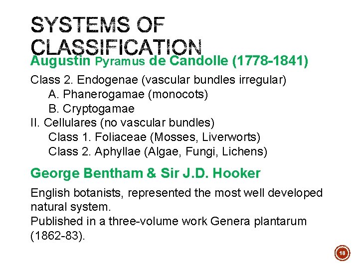Augustin Pyramus de Candolle (1778 -1841) Class 2. Endogenae (vascular bundles irregular) A. Phanerogamae