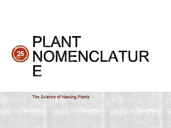 25 The Science of Naming Plants 