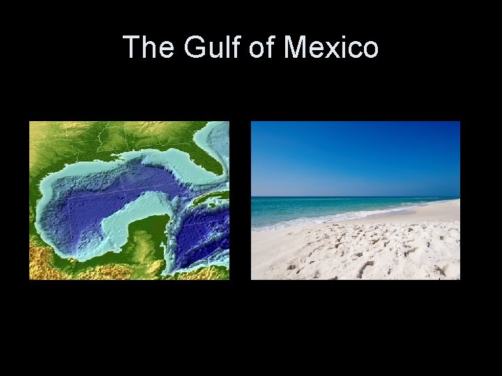 The Gulf of Mexico 