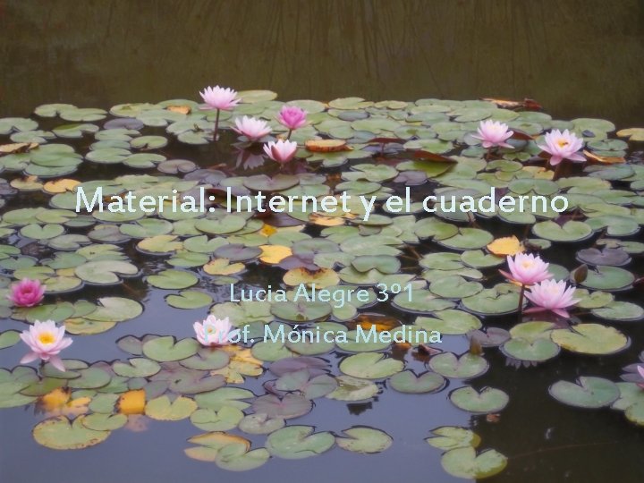 Material: Internet y el cuaderno Lucia Alegre 3º 1 Prof. Mónica Medina 