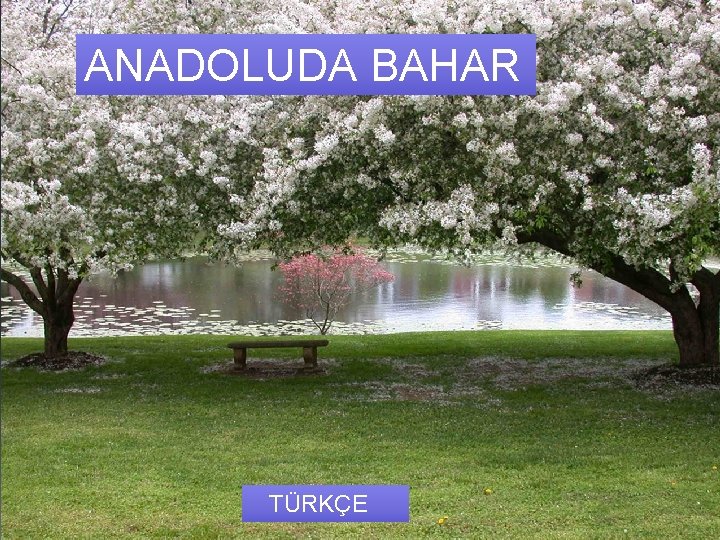 Anadolu’da Bahar ANADOLUDA BAHAR Türkçe TÜRKÇE 