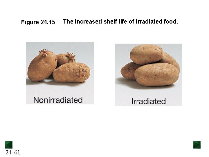 Figure 24. 15 24 -61 The increased shelf life of irradiated food. 