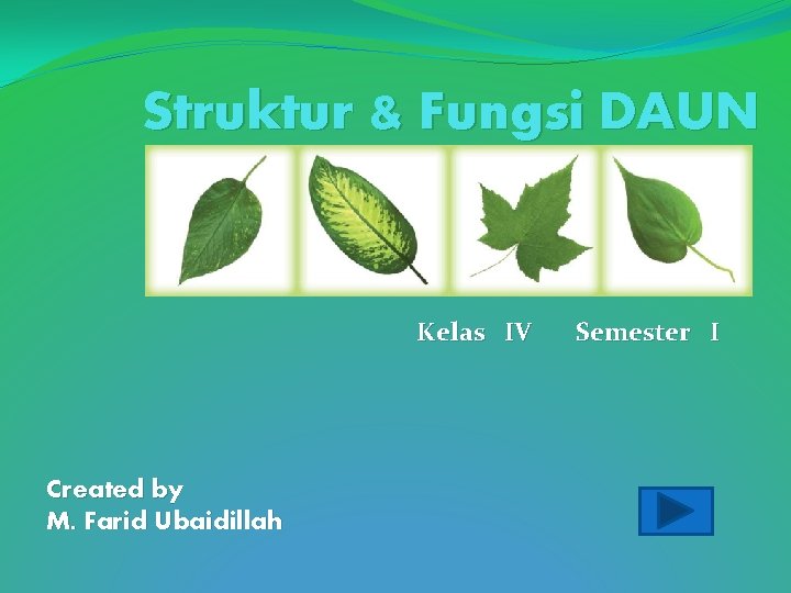 Struktur & Fungsi DAUN Kelas IV Created by M. Farid Ubaidillah Semester I 