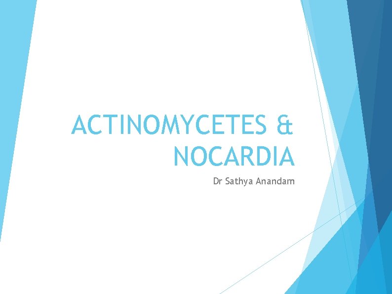 ACTINOMYCETES & NOCARDIA Dr Sathya Anandam 