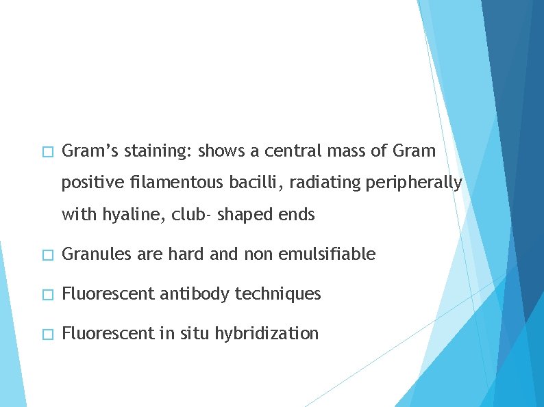 � Gram’s staining: shows a central mass of Gram positive filamentous bacilli, radiating peripherally