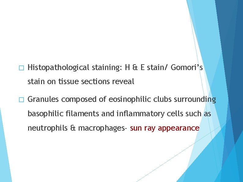 � Histopathological staining: H & E stain/ Gomori’s stain on tissue sections reveal �