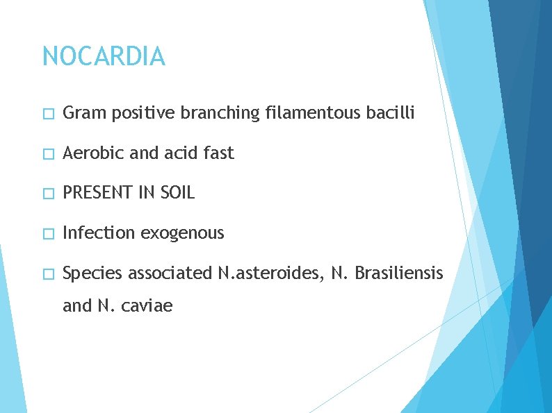 NOCARDIA � Gram positive branching filamentous bacilli � Aerobic and acid fast � PRESENT