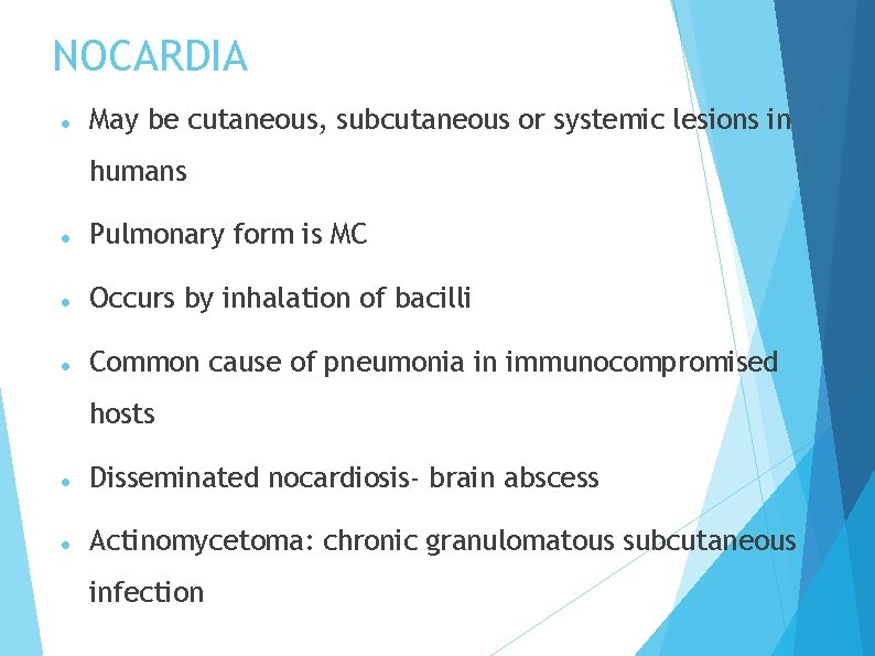 NOCARDIA May be cutaneous, subcutaneous or systemic lesions in humans Pulmonary form is MC