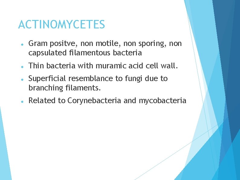 ACTINOMYCETES Gram positve, non motile, non sporing, non capsulated filamentous bacteria Thin bacteria with
