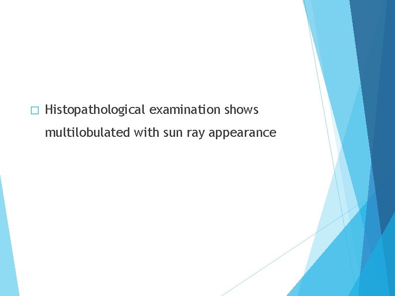 � Histopathological examination shows multilobulated with sun ray appearance 