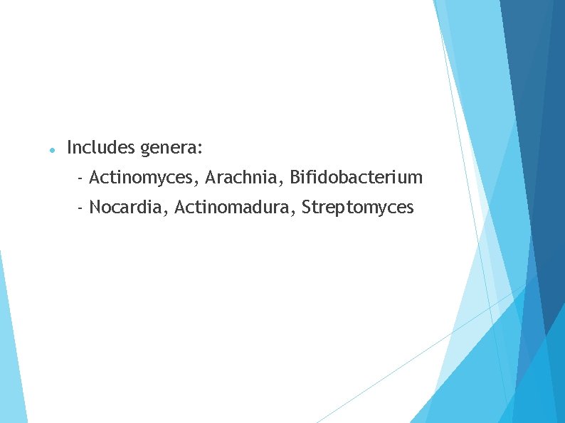  Includes genera: - Actinomyces, Arachnia, Bifidobacterium - Nocardia, Actinomadura, Streptomyces 