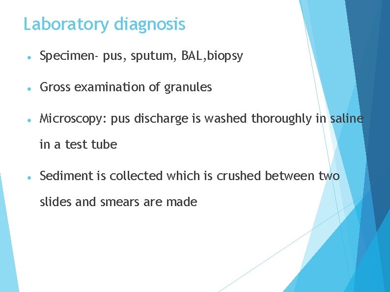 Laboratory diagnosis Specimen- pus, sputum, BAL, biopsy Gross examination of granules Microscopy: pus discharge