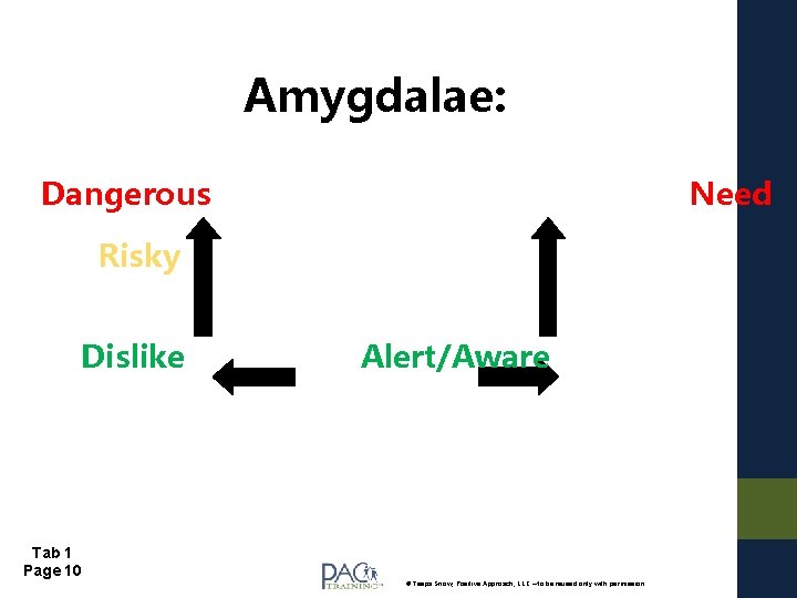 Amygdalae: Dangerous Need Risky Dislike Tab 1 Page 10 Alert/Aware © Teepa Snow, Positive
