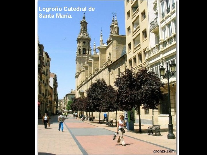 Logroño Catedral de Santa María. 