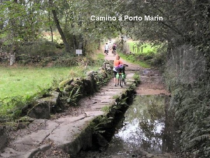 Camino a Porto Marín 