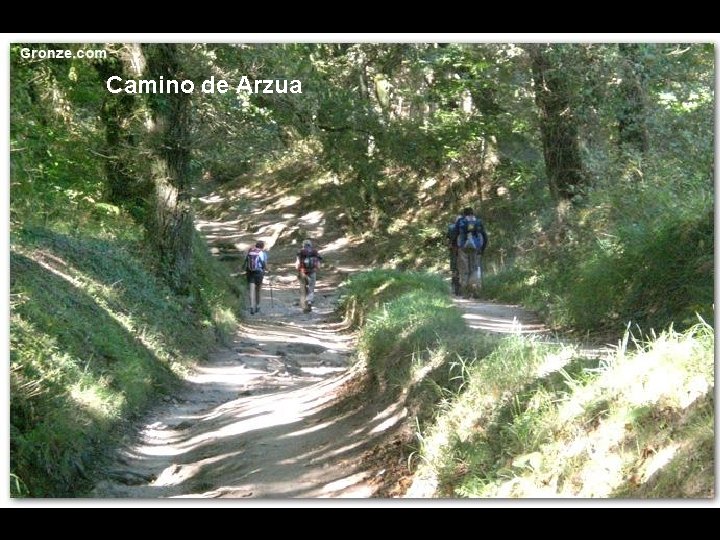 Camino de Arzua 