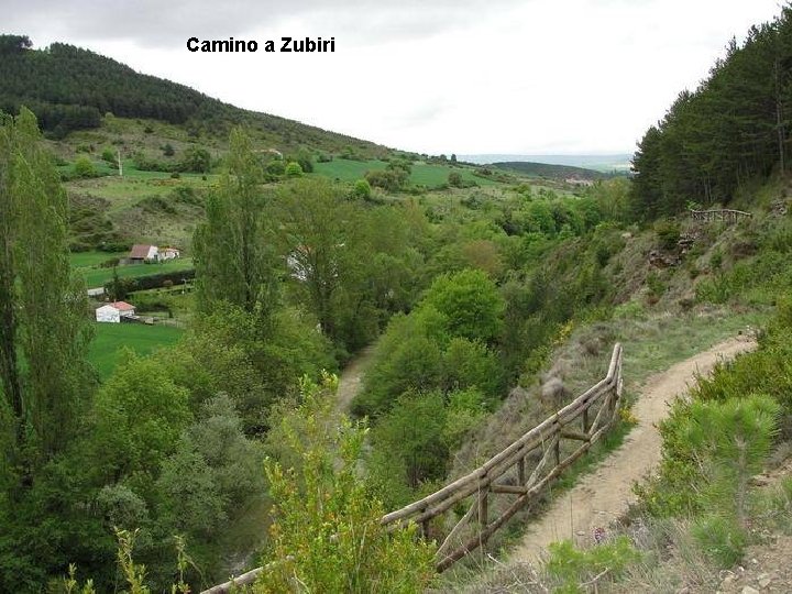 Camino a Zubiri 