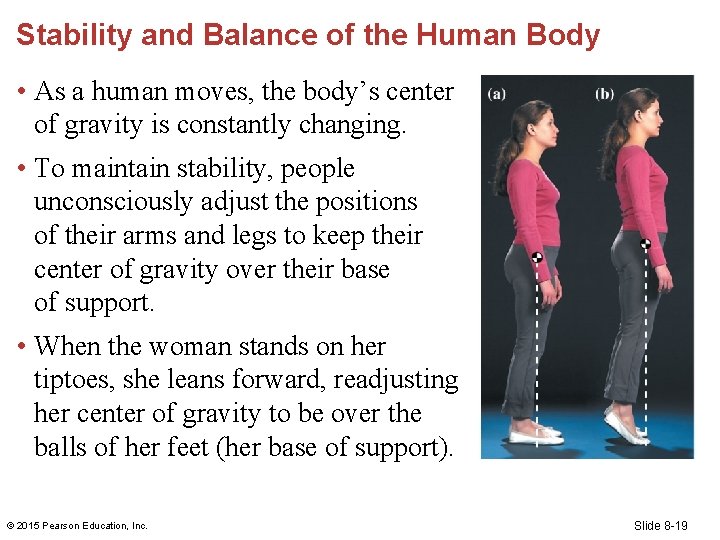 Stability and Balance of the Human Body • As a human moves, the body’s