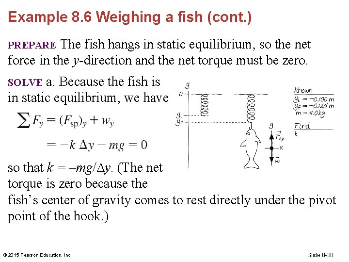 Example 8. 6 Weighing a fish (cont. ) The fish hangs in static equilibrium,