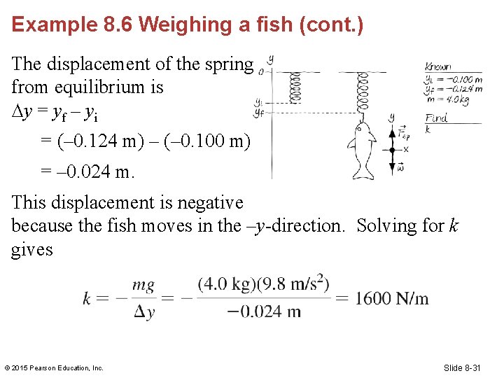 Example 8. 6 Weighing a fish (cont. ) The displacement of the spring from