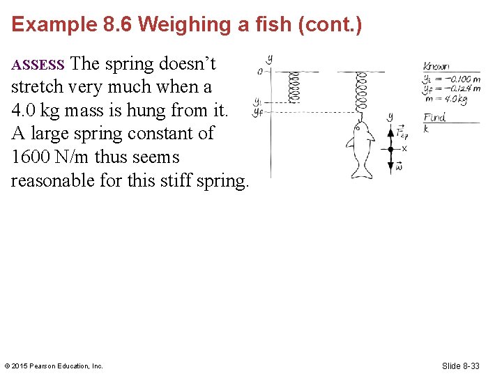 Example 8. 6 Weighing a fish (cont. ) The spring doesn’t [Insert Figure 8.