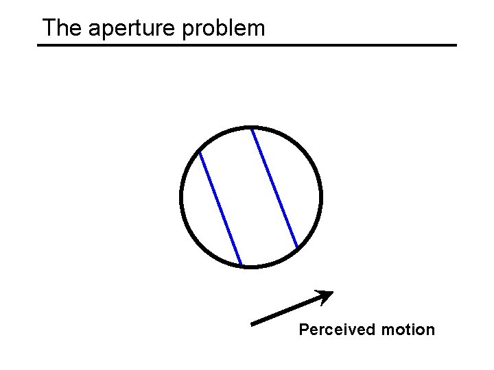The aperture problem Perceived motion 