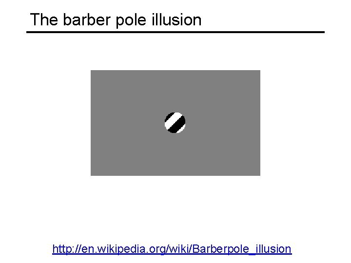 The barber pole illusion http: //en. wikipedia. org/wiki/Barberpole_illusion 