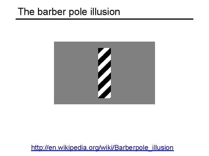 The barber pole illusion http: //en. wikipedia. org/wiki/Barberpole_illusion 