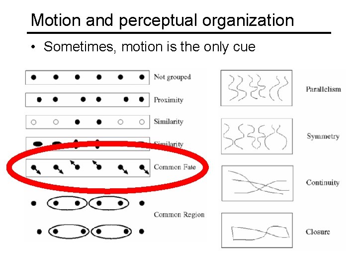 Motion and perceptual organization • Sometimes, motion is the only cue 