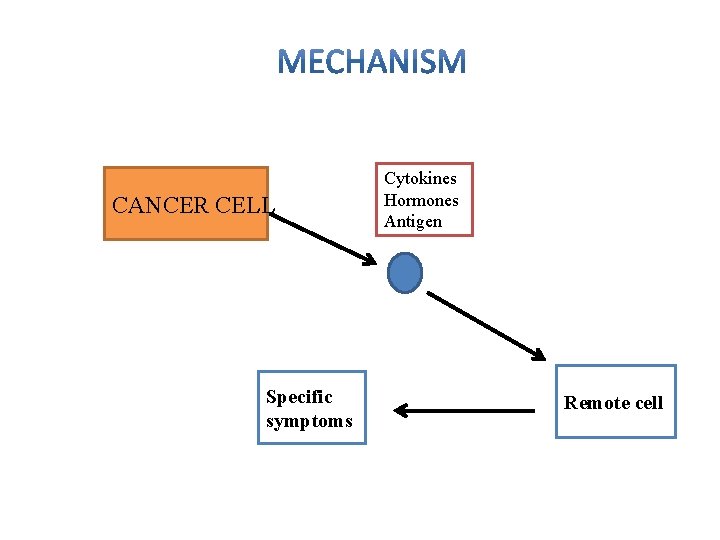 CANCER CELL Specific symptoms Cytokines Hormones Antigen Remote cell 