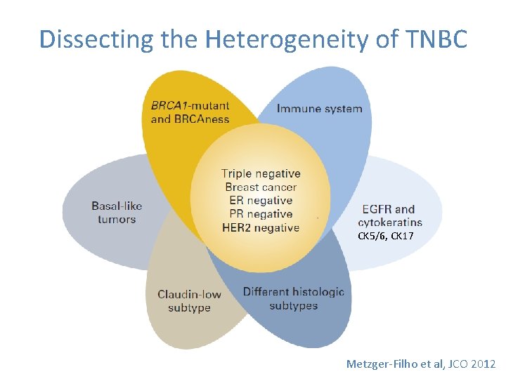 Highlights In The Management Of Breast Cancer How