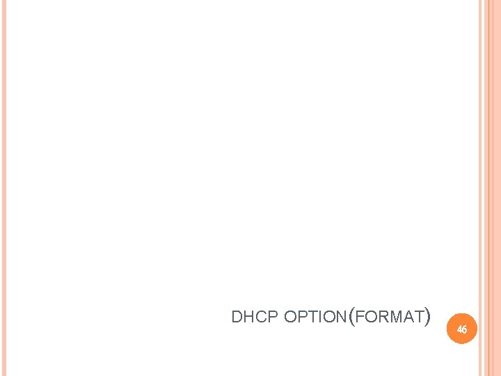 DHCP OPTION(FORMAT) 46 