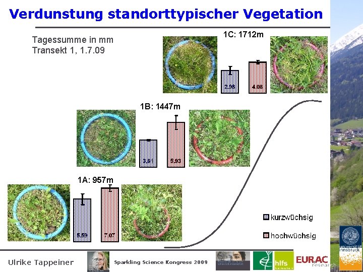 Verdunstung standorttypischer Vegetation 1 C: 1712 m Tagessumme in mm Transekt 1, 1. 7.