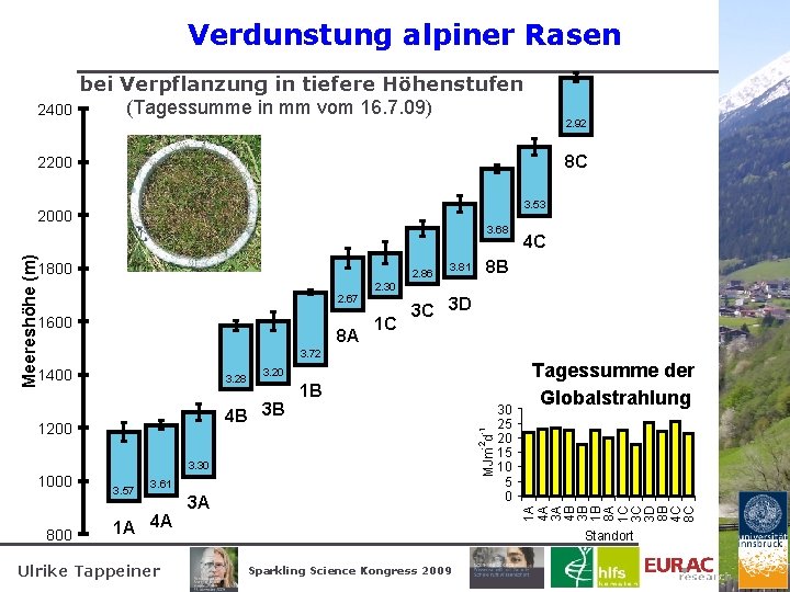 Verdunstung alpiner Rasen 2400 bei Verpflanzung in tiefere Höhenstufen (Tagessumme in mm vom 16.