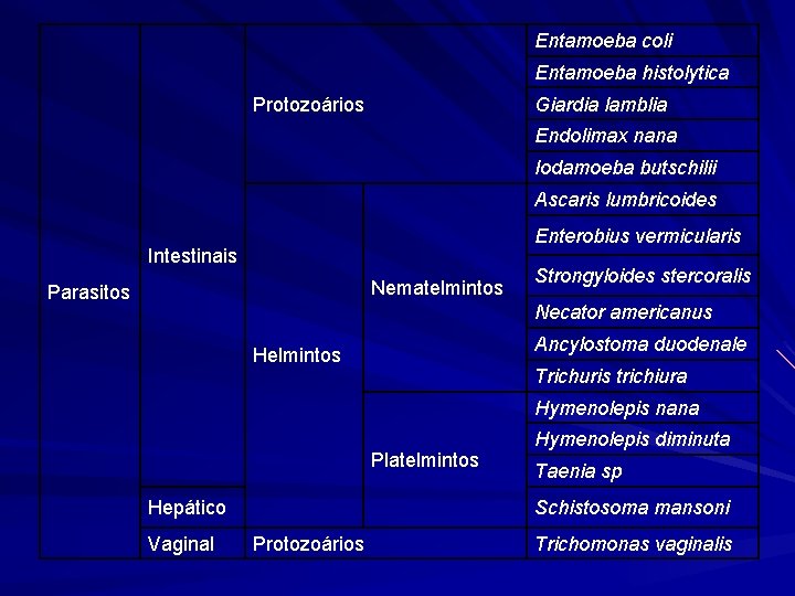 Entamoeba coli Entamoeba histolytica Giardia lamblia Protozoários Endolimax nana Iodamoeba butschilii Ascaris lumbricoides Enterobius