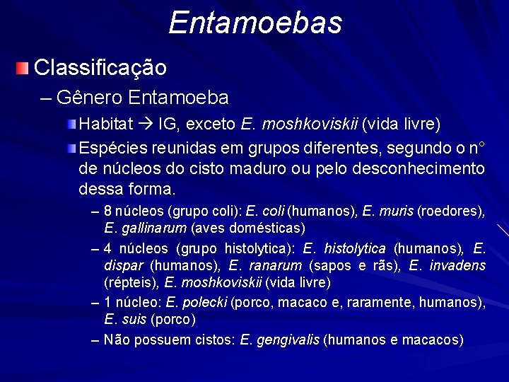 Entamoebas Classificação – Gênero Entamoeba Habitat IG, exceto E. moshkoviskii (vida livre) Espécies reunidas