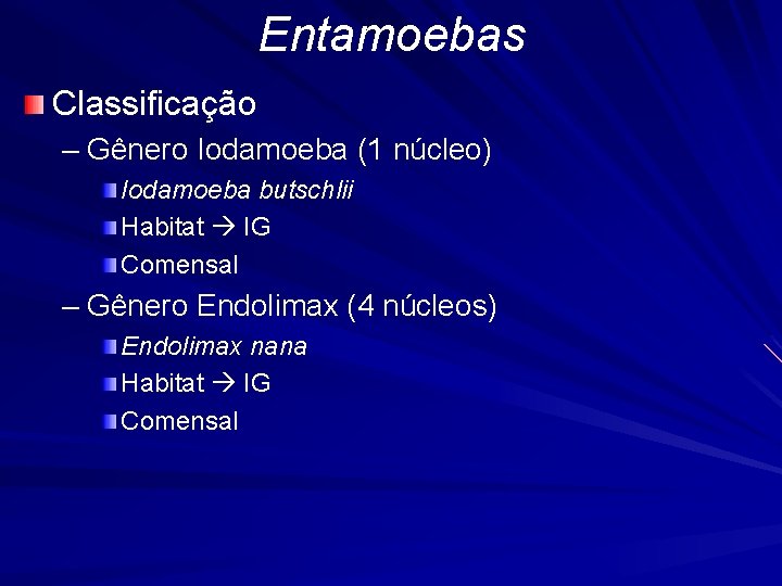 Entamoebas Classificação – Gênero Iodamoeba (1 núcleo) Iodamoeba butschlii Habitat IG Comensal – Gênero