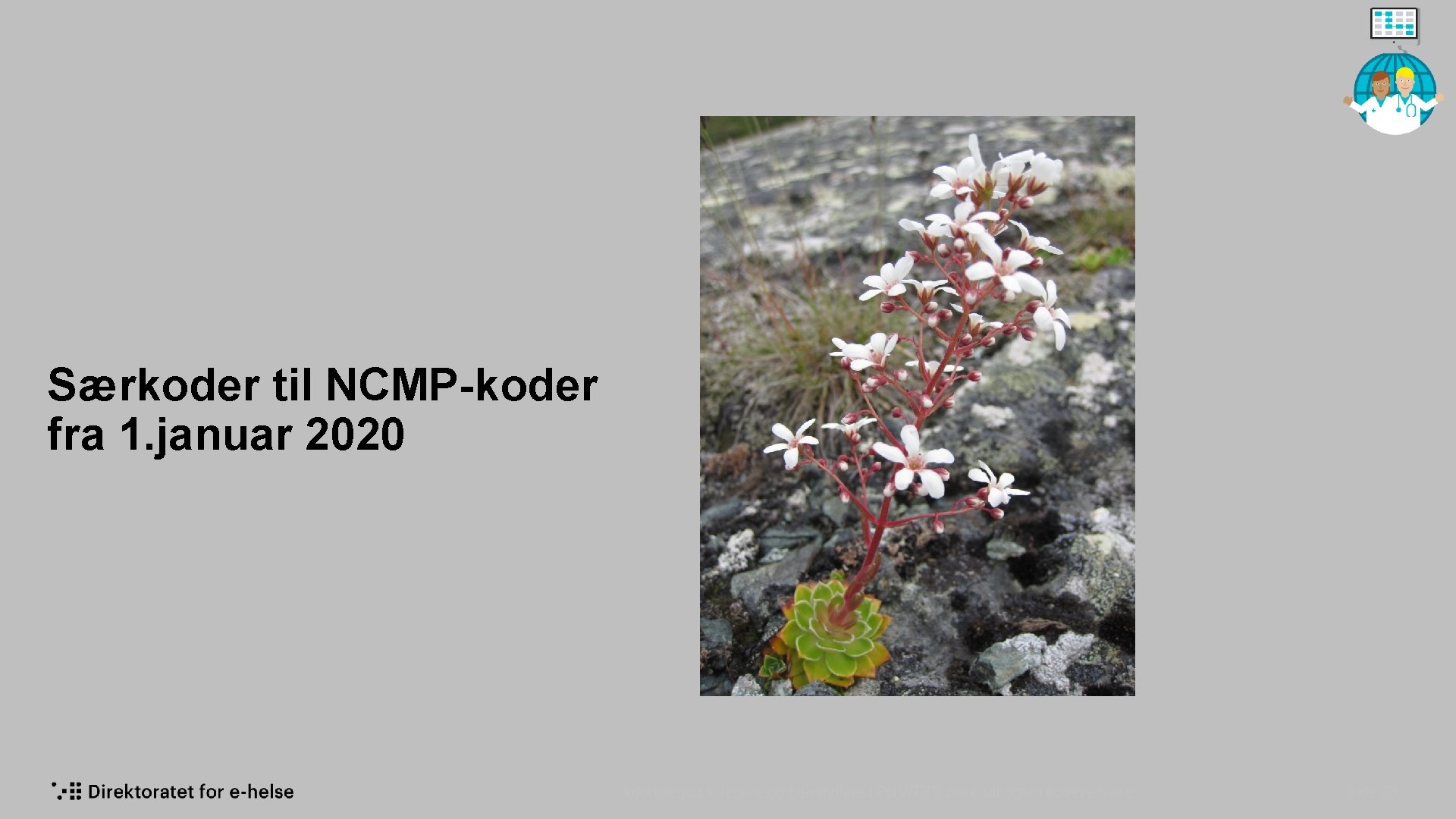 Særkoder til NCMP-koder fra 1. januar 2020 Informasjon til ledere og behandlere i PHV/TSB