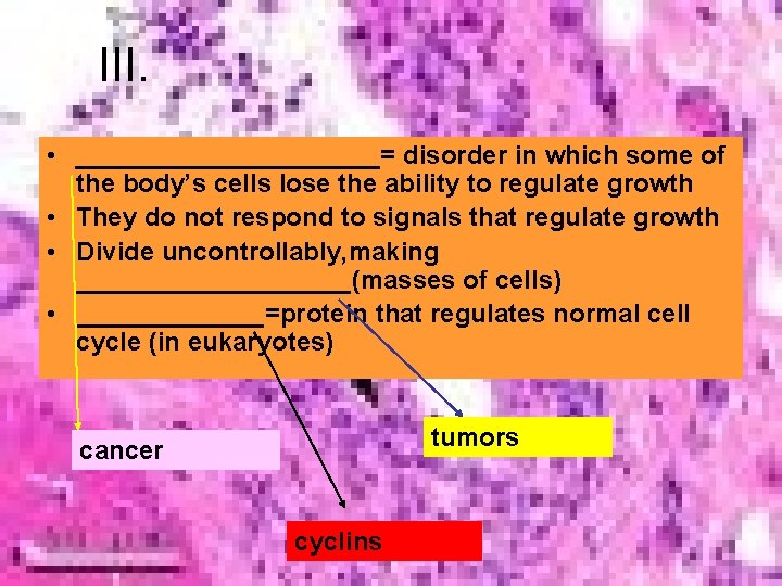 III. • ___________= disorder in which some of the body’s cells lose the ability
