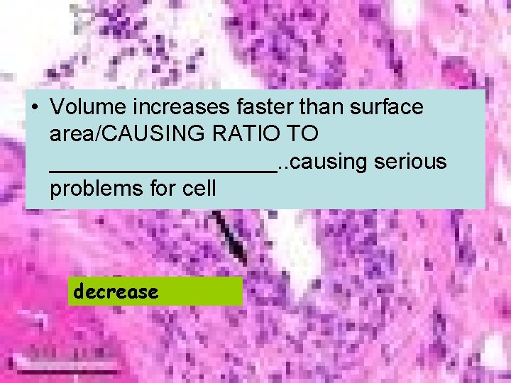  • Volume increases faster than surface area/CAUSING RATIO TO _________. . causing serious