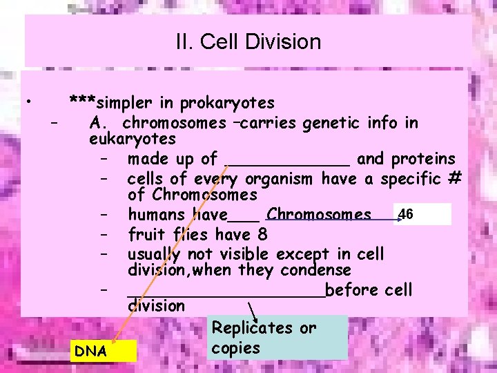 II. Cell Division • ***simpler in prokaryotes – A. chromosomes –carries genetic info in