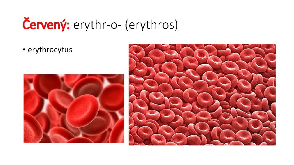 Červený: erythr-o- (erythros) • erythrocytus 