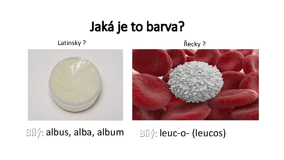 Jaká je to barva? Latinsky ? Bílý: albus, alba, album Řecky ? Bílý: leuc-o-