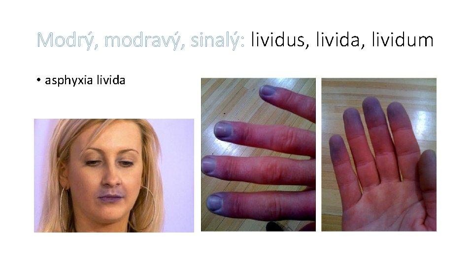 Modrý, modravý, sinalý: lividus, livida, lividum • asphyxia livida 