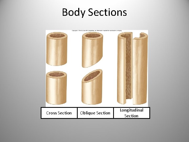 Body Sections Cross Section Oblique Section Longitudinal Section 